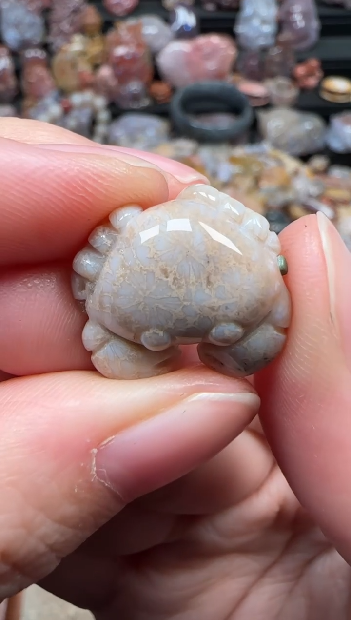 颈饰未镶嵌硅化珊瑚（珊瑚玉）763