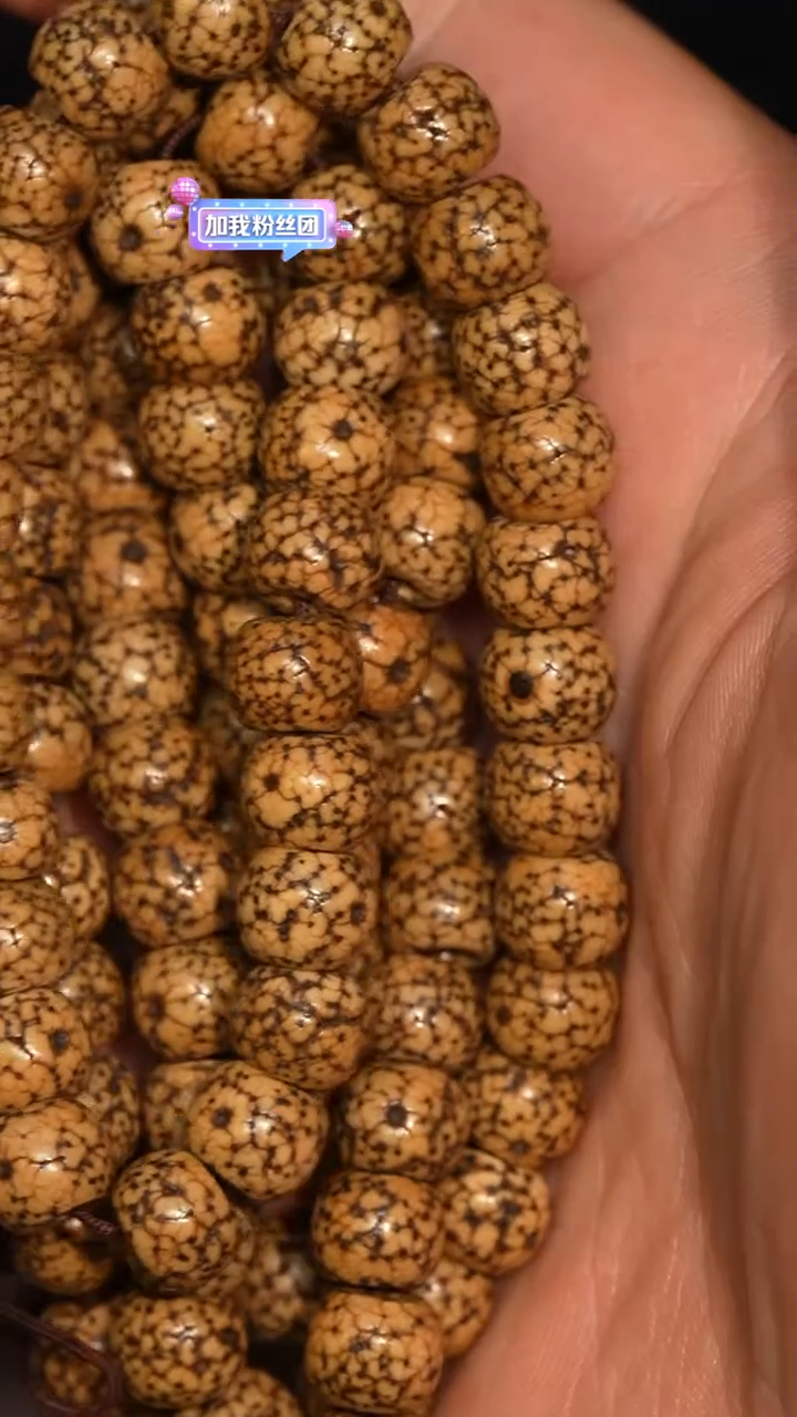 冲赛康胡子哥，藏传念珠207