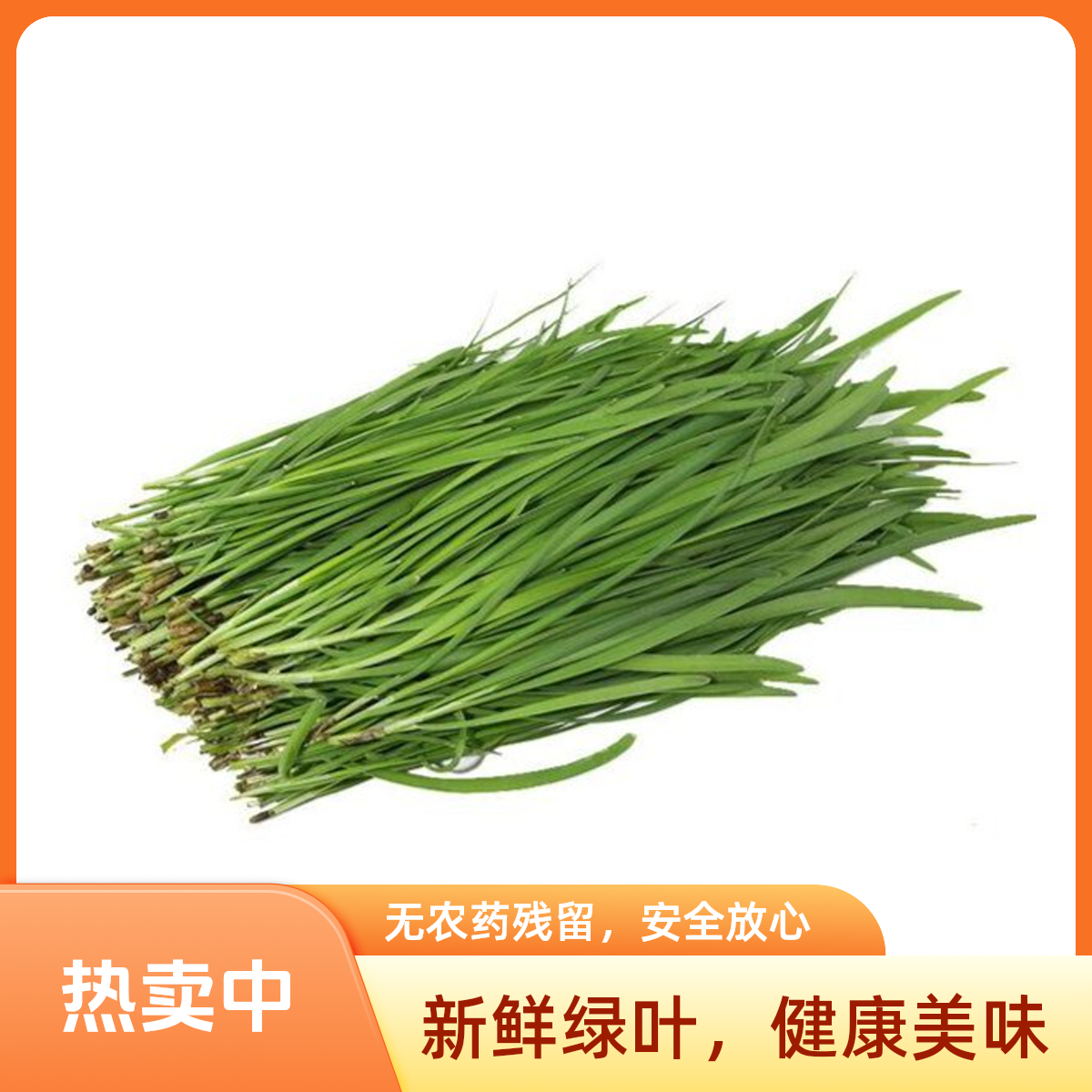 【3斤新鲜韭菜】北京自产菜 现拔现发绿色蔬菜