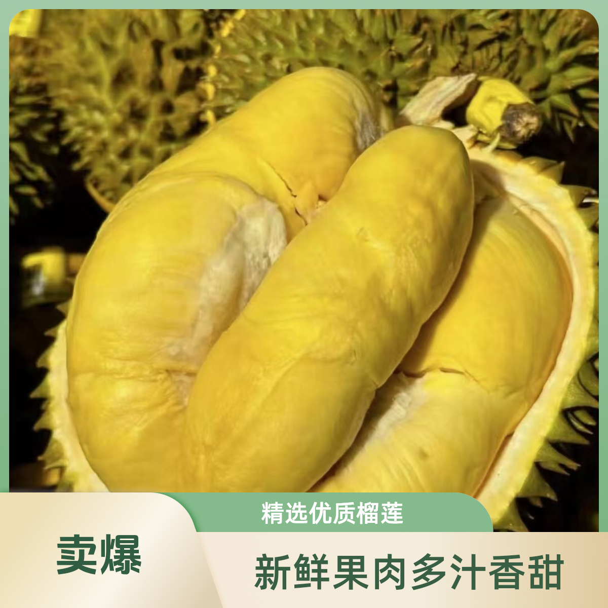 【空运】【现拍现拆】泰国直发树熟金枕鲜榴莲2-10斤核小顺丰包邮送货上楼金枕榴莲金枕榴莲金枕泰国东部