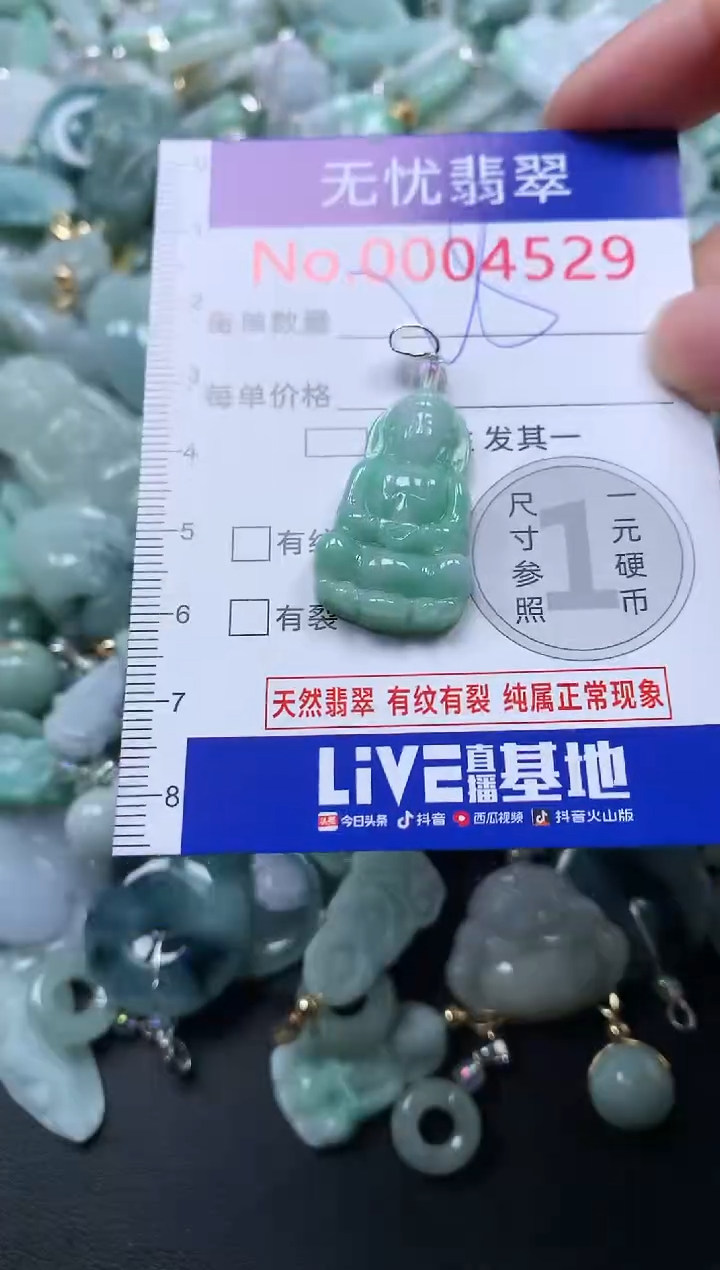 颈饰未镶嵌翡翠4529