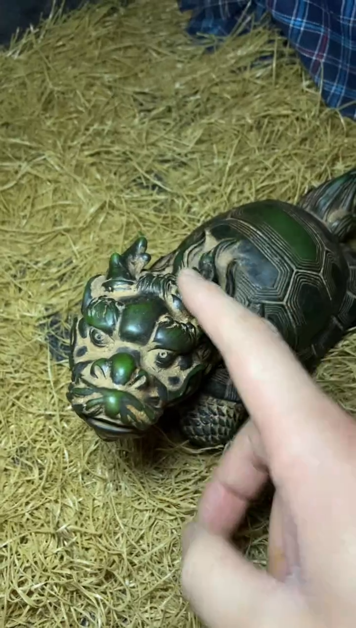 木特色=====福利盒