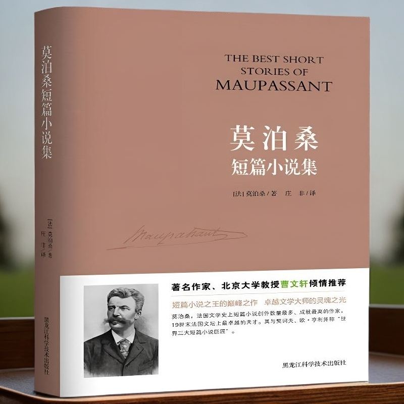正版《莫泊桑经典短篇小说集》领略文学魅力，30 秒看透人性！书籍