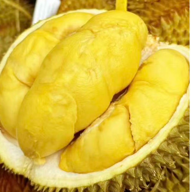 3号链接【树熟金腰23.8一斤】新鲜榴莲核小时达金腰泰国