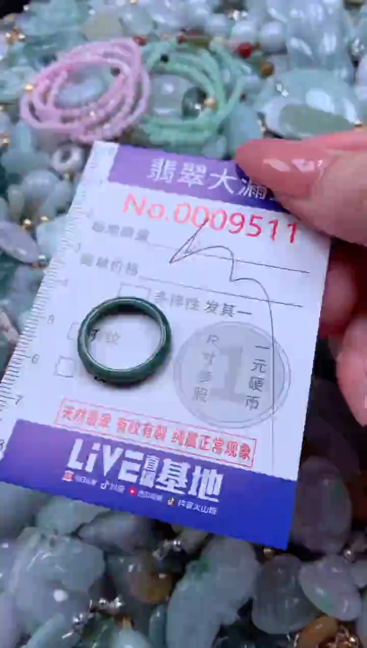 翡翠未镶嵌吊坠(不含链)9511
