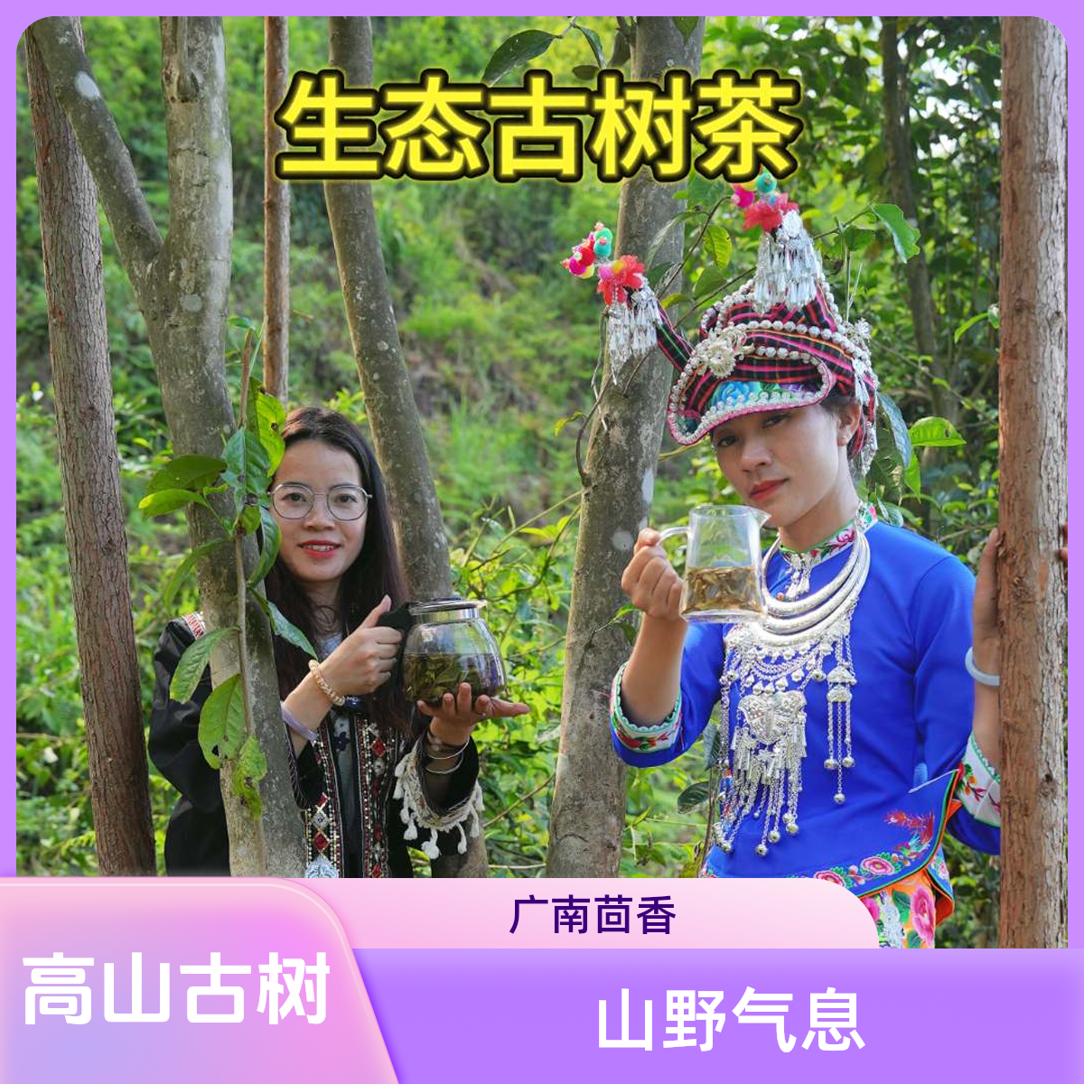 2025广南底圩高山古树白茶茴香口感通常更加醇厚独特的山野气息