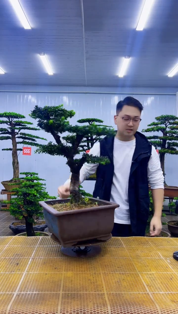 无花朵本****己000000000000000