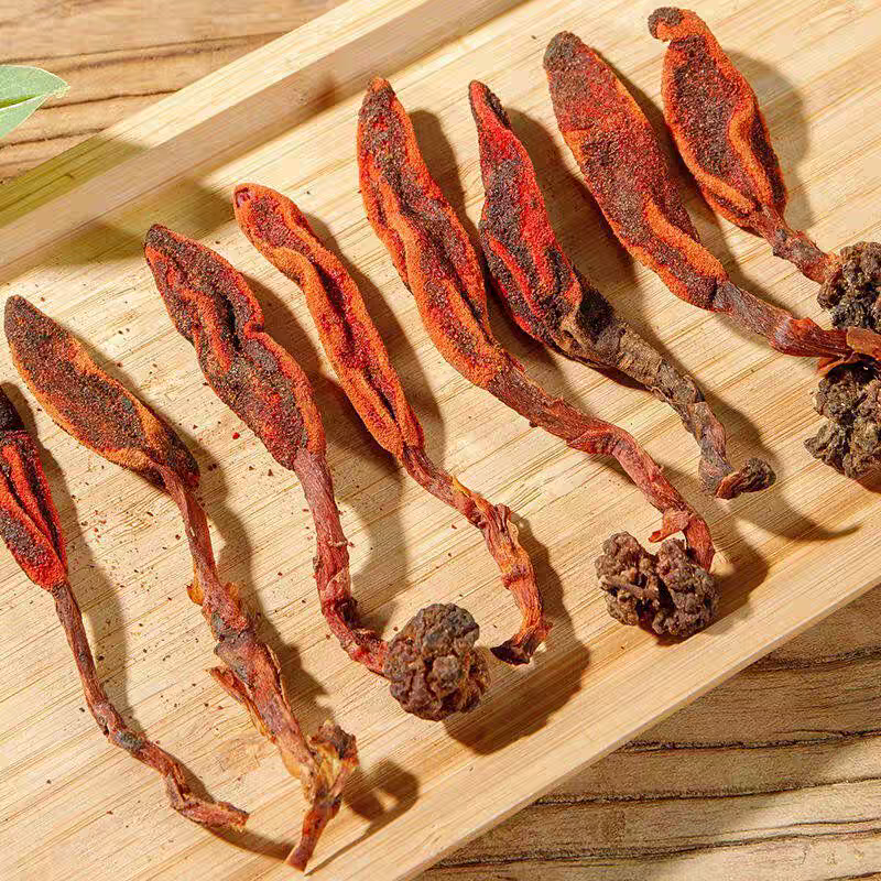云南高原 回椿草大炎甄选