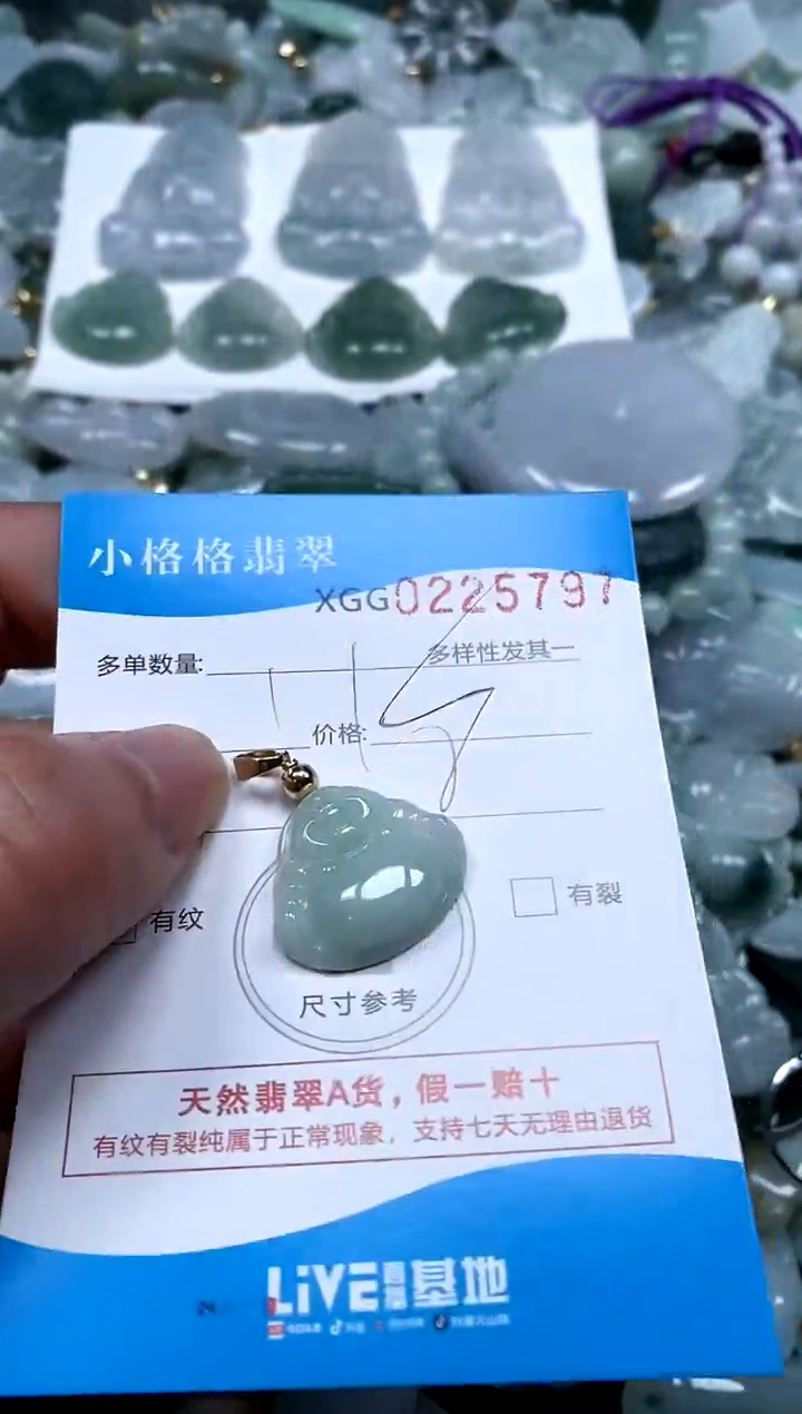 【闪购商品】翡翠颈饰未镶嵌闪购商品0225797