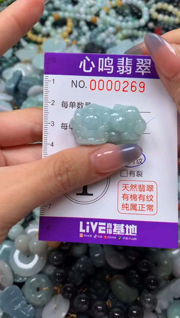 颈饰未镶嵌翡翠闪购00269