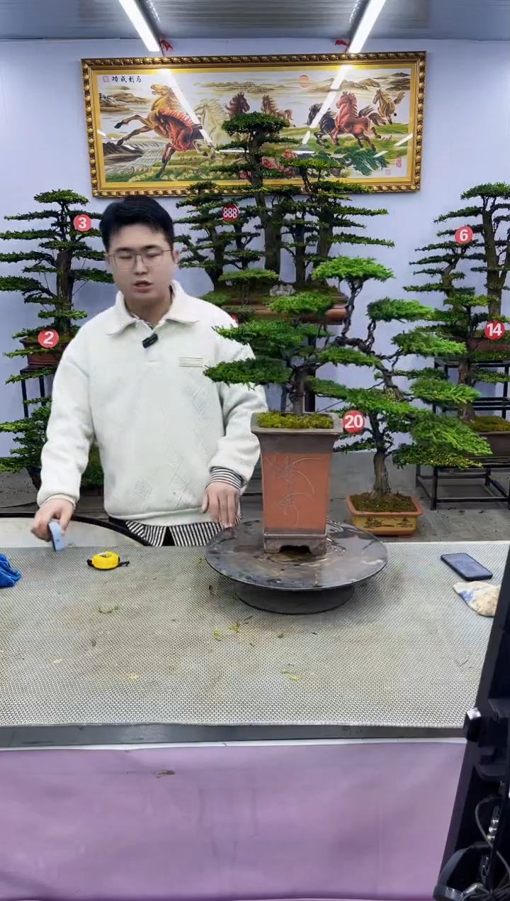 【闪购商品】啊啊啊啊啊啊