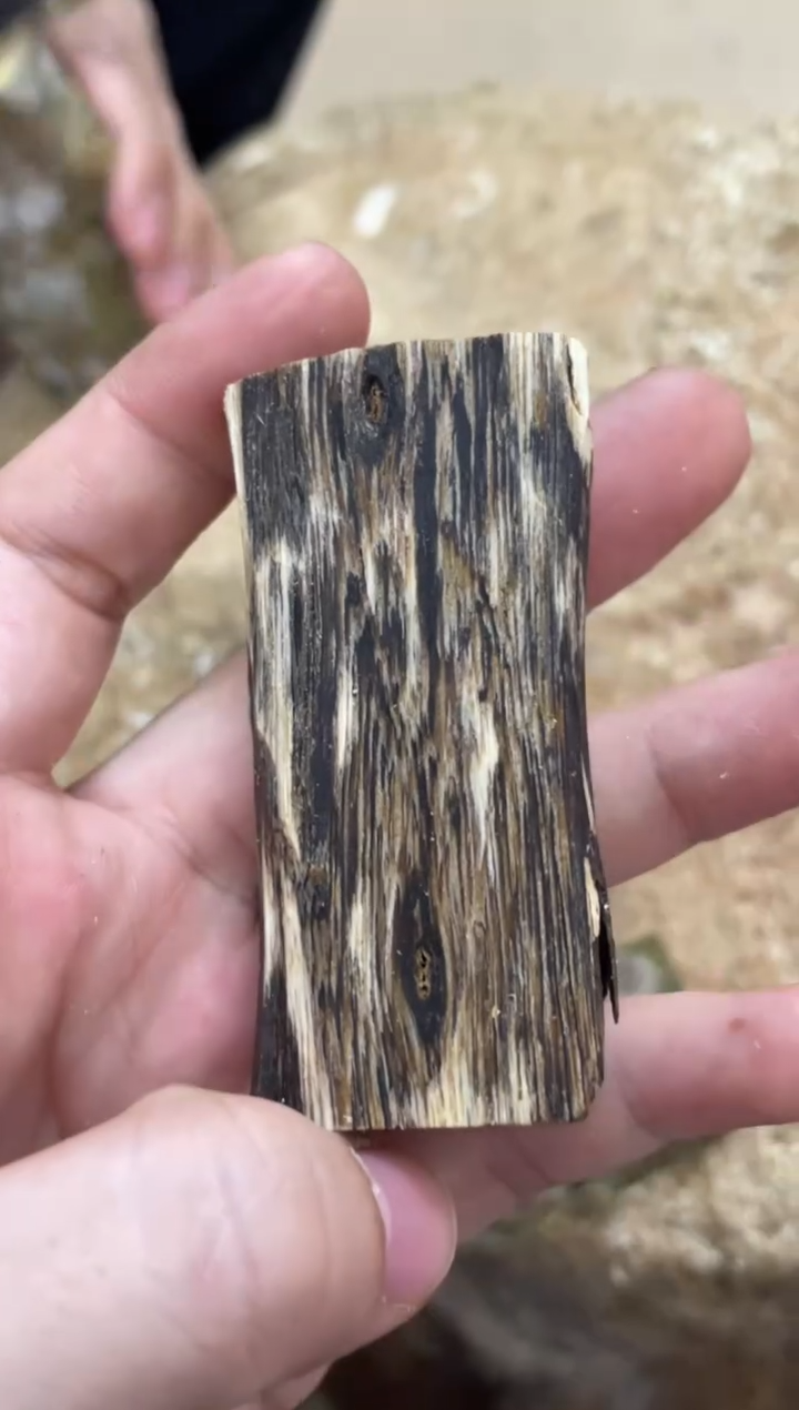 沉香沉香碎屑棋楠沉香 原料文创1