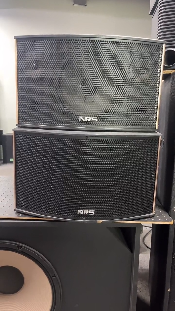 不包邮 10寸卡包音响 俩只外观不一样 KTV音箱一对   运费到付