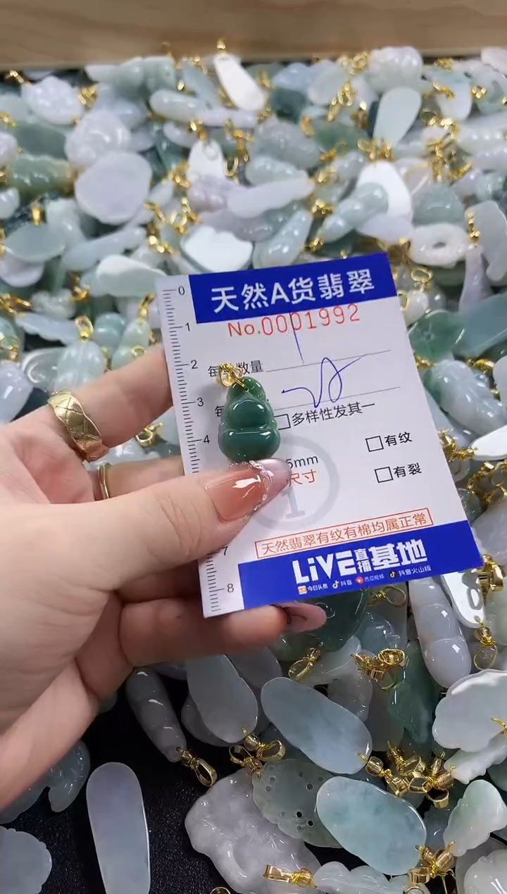 颈饰未镶嵌翡翠天然A货翡翠