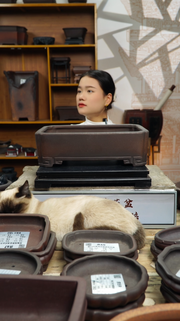 【闪购商品】紫砂堂08小号