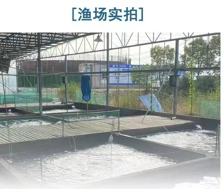 瀚升锦鲤开播福利单