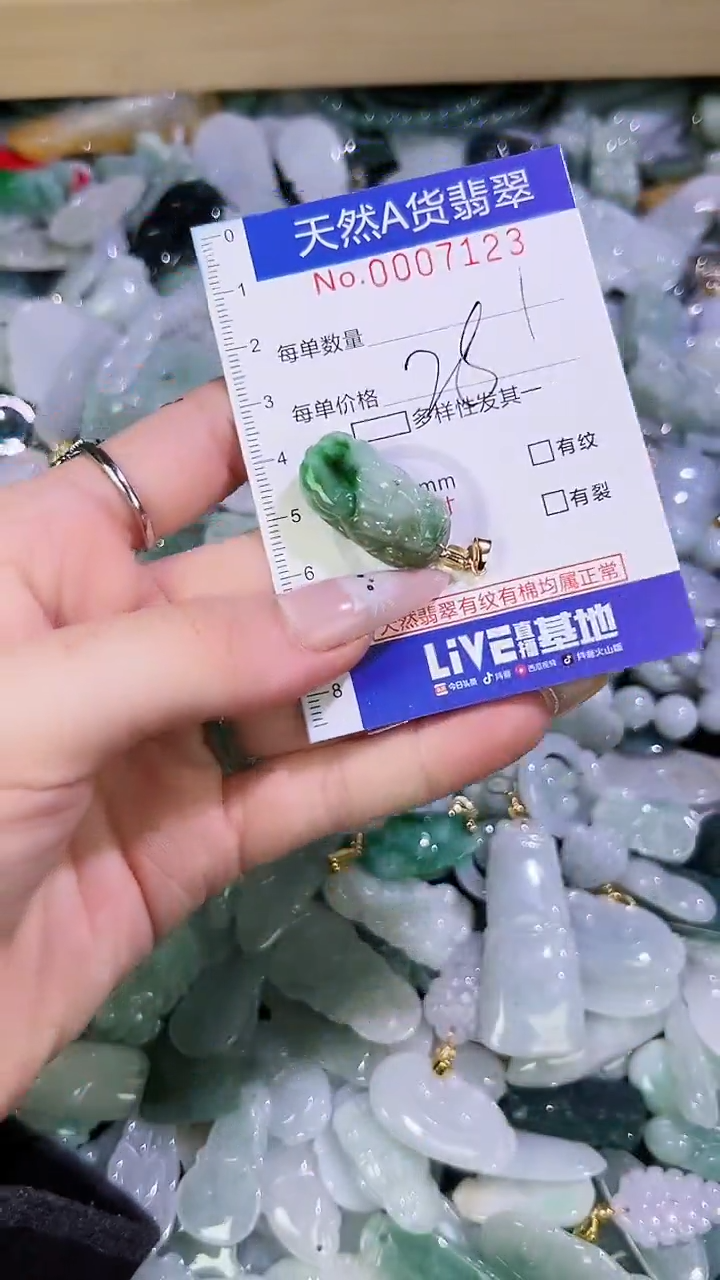 【闪购商品】翡翠颈饰未镶嵌天然翡翠A货