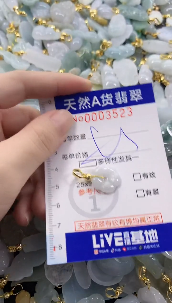 颈饰未镶嵌翡翠天然A货翡翠