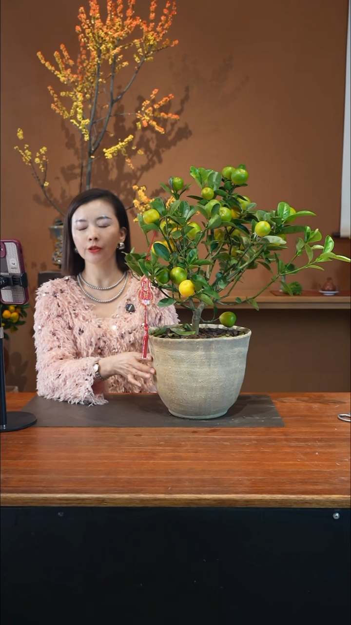 全部花朵金蛋盆景盆景