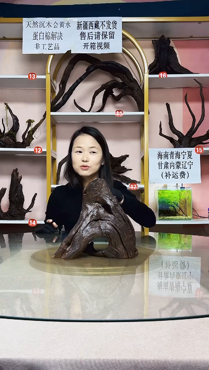 1****馆山丘沉木一物一拍A523