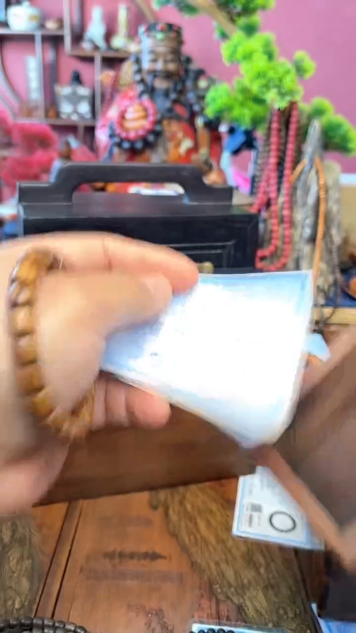 【闪购商品】木中之王139巴布亚妍妍批发