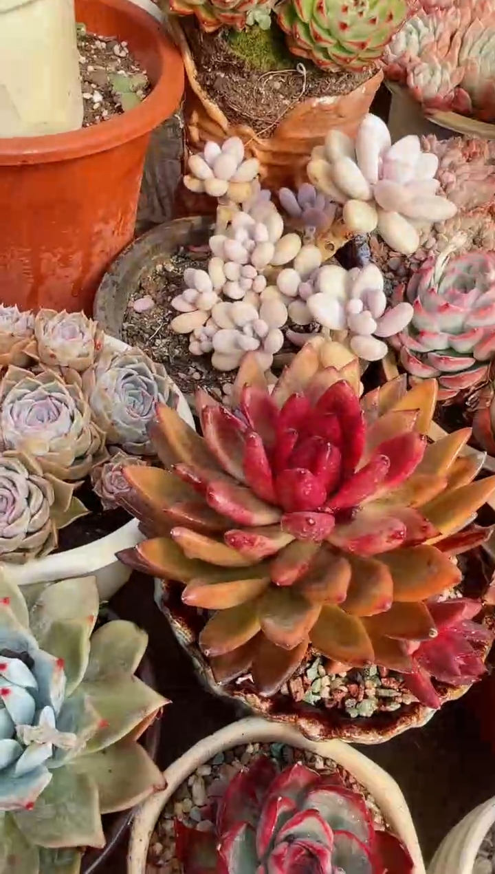 【闪购商品】22357