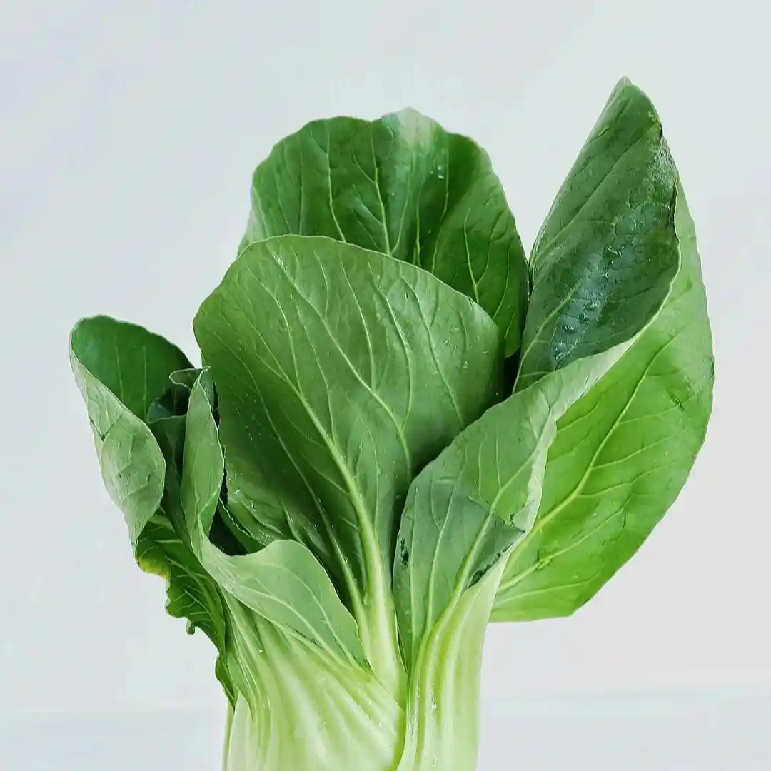 新鲜青菜500g/份