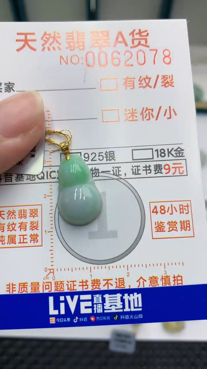 【闪购商品】翡翠颈饰18K金镶嵌            8