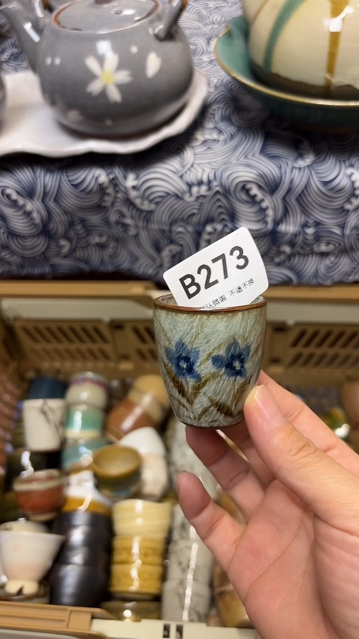 瓷片V*i喵喵家都是大漂亮