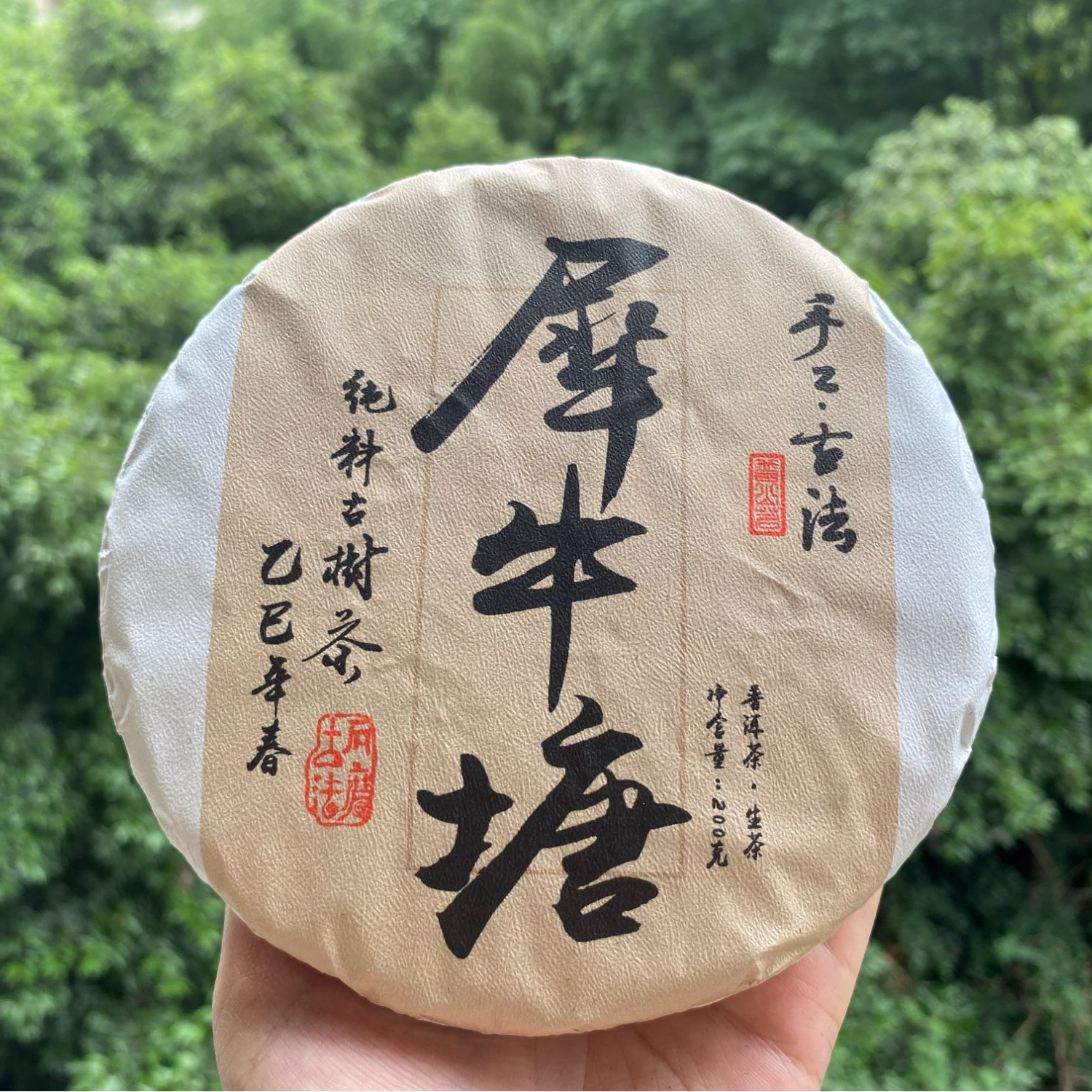 【犀牛塘】古树普洱2025年200g生饼茶汤厚实 留香甘甜持久 品质优