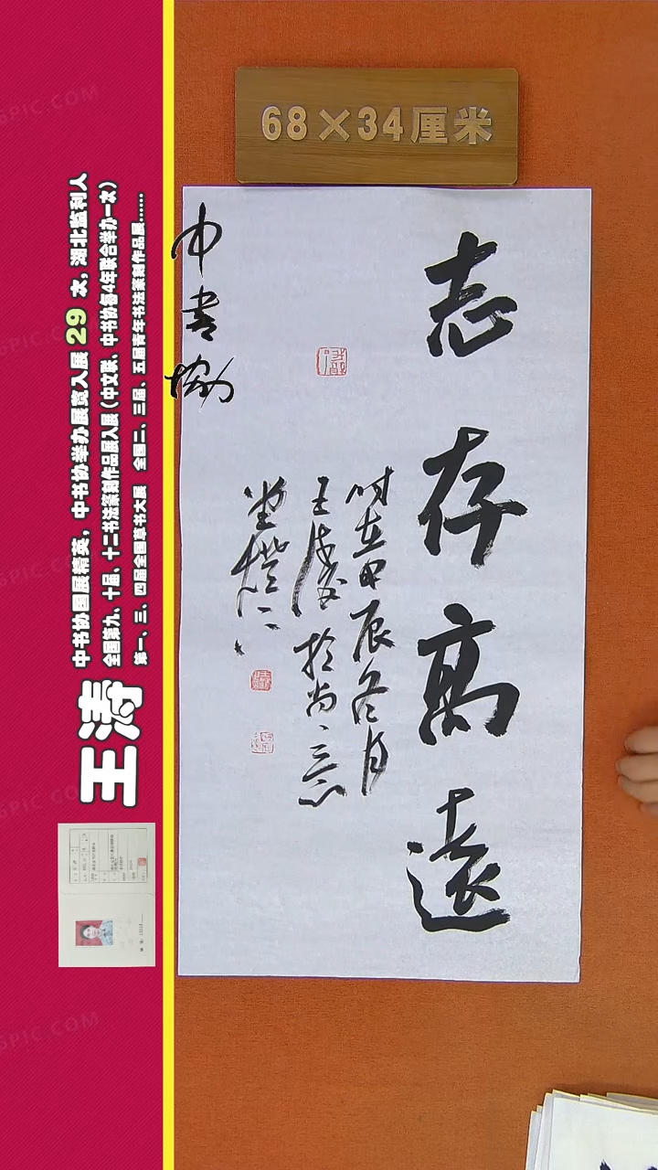 【闪购商品】书法194王涛书法作品