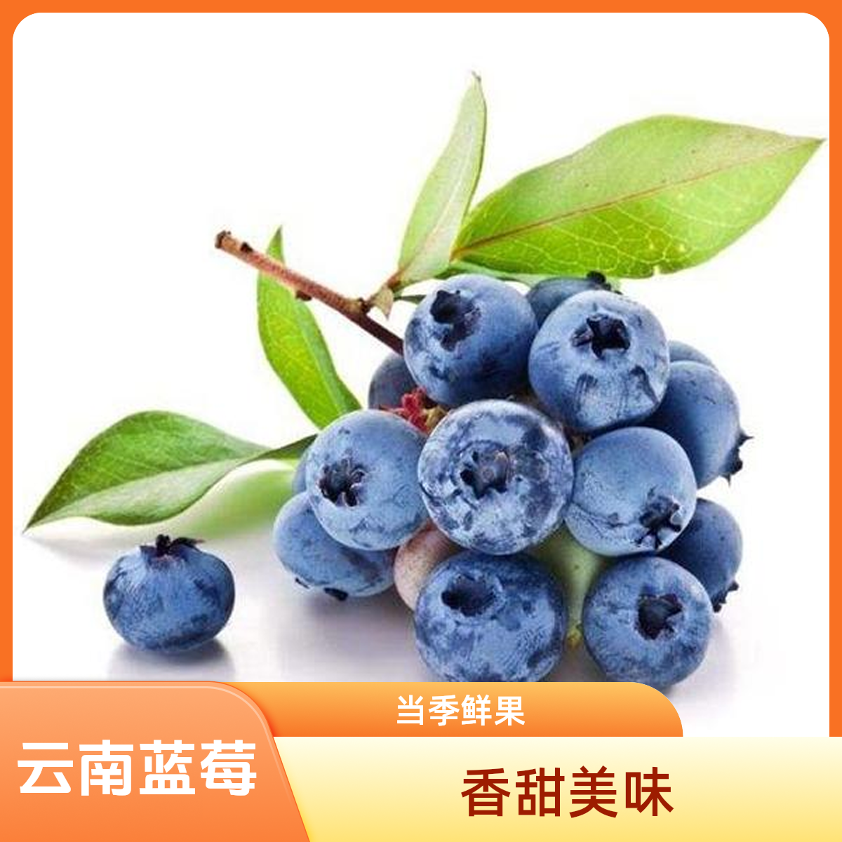 DD云南花香蓝莓18mm+ 125g/盒云南蓝莓云南省红河哈尼族彝族自治州