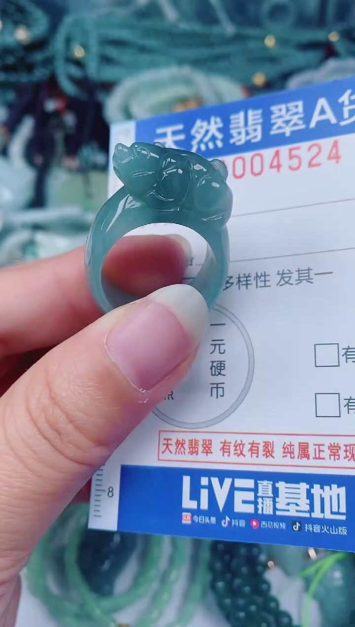 颈饰未镶嵌翡翠00004524