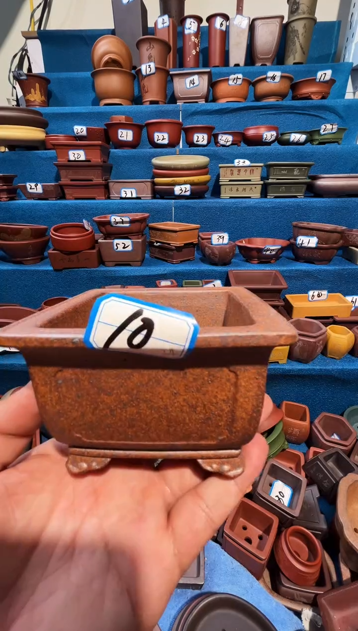 【闪购商品】紫砂紫砂花盆9*5.5