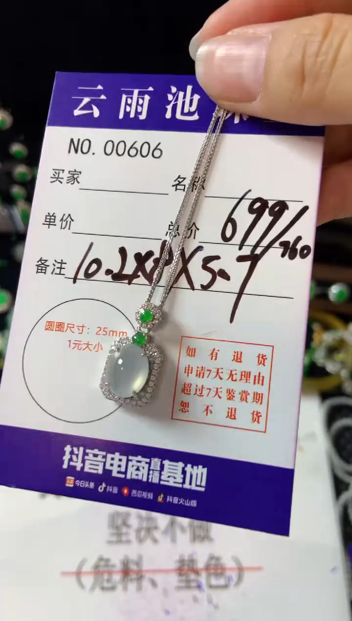 【闪购商品】翡翠颈饰银S925镶嵌翡翠