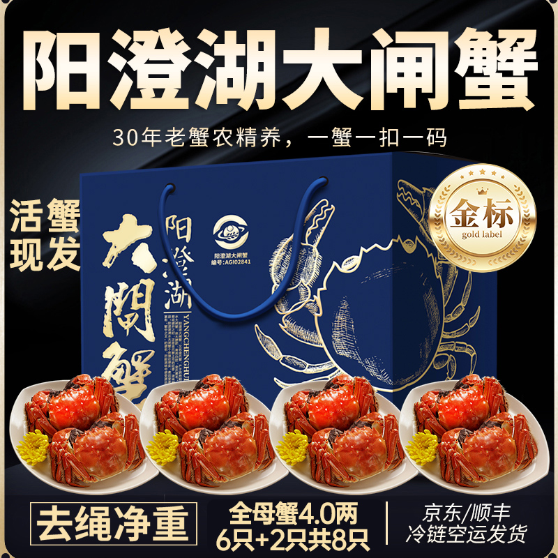 【活蟹】阳澄湖大闸蟹刘掌柜核心产区全母蟹4.0两8只高标准活水塘养
