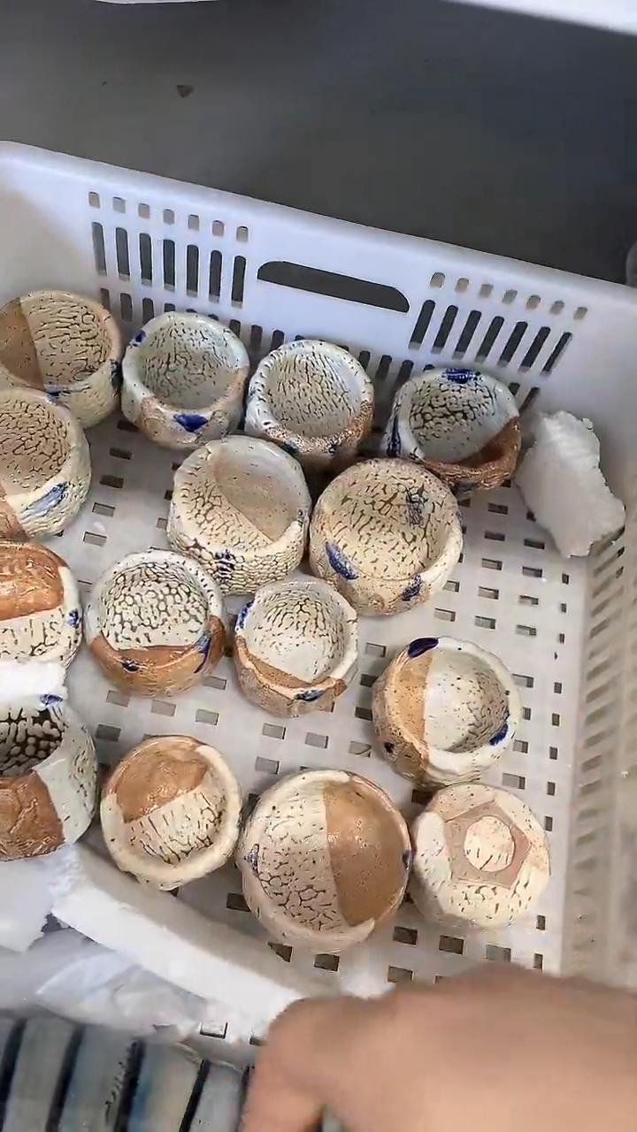 瓷片陶瓷茶器福利1个