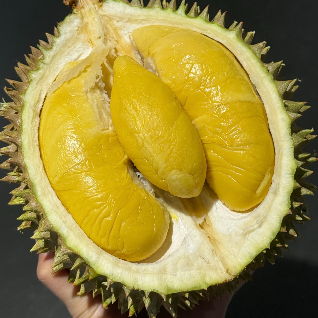 【4-4.5斤/颗 猫山王D197榴莲】马来西亚空运 新鲜榴莲 核小 微苦味猫山王马来西亚