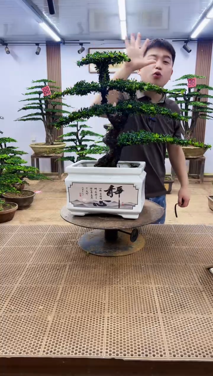 无花朵一物一拍，所见即所得