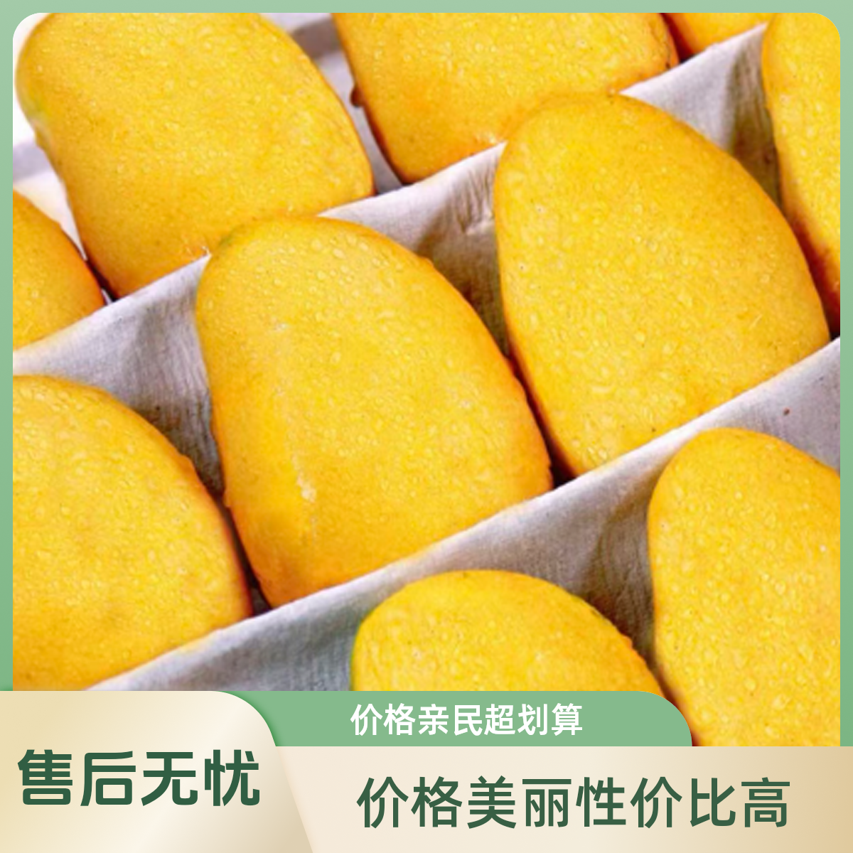 海南小台农芒果现摘应当季水果