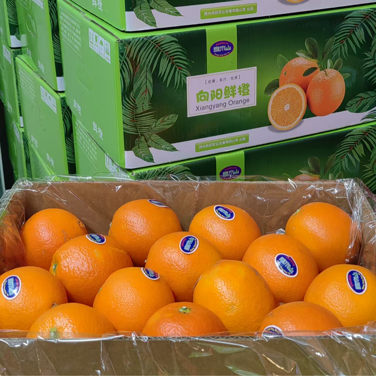 【福利品】赣南脐橙   连箱 约10斤