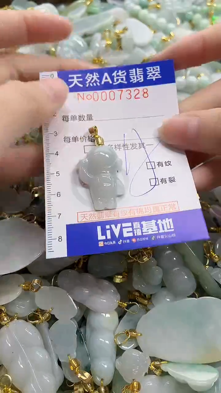 颈饰未镶嵌翡翠天然A货翡翠