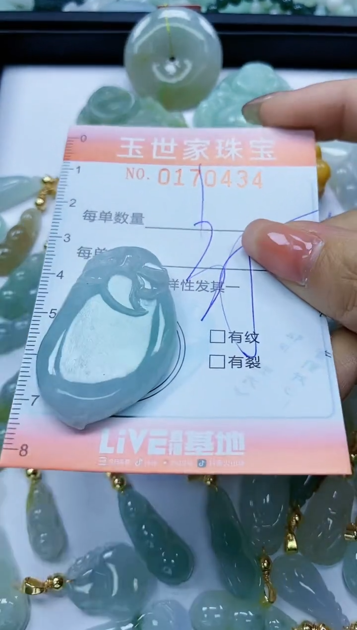 【闪购商品】翡翠颈饰未镶嵌闪购0170434