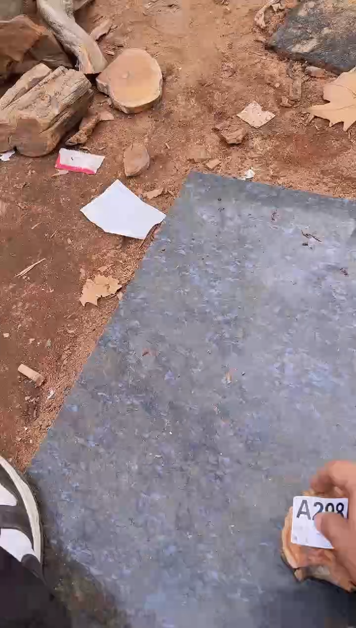 【闪购商品】柏木（崖柏）太行崖柏陈化切片