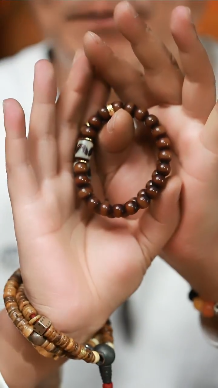 手串菩提根/象牙果菩提根（多样性发货，发其一）