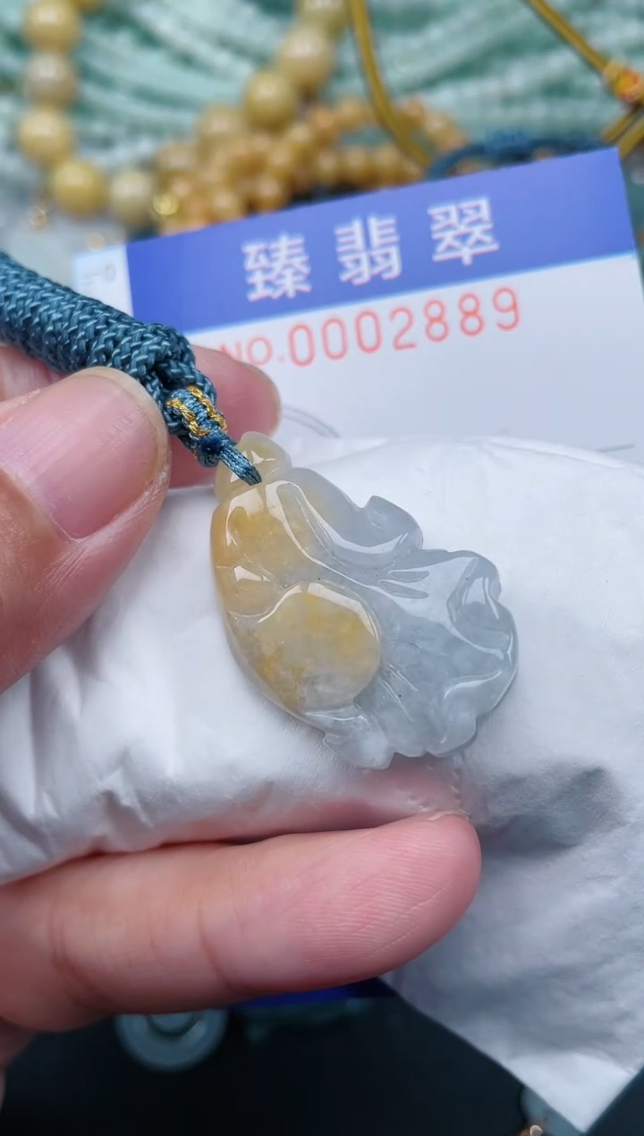 翡翠未镶嵌颈饰.0002889