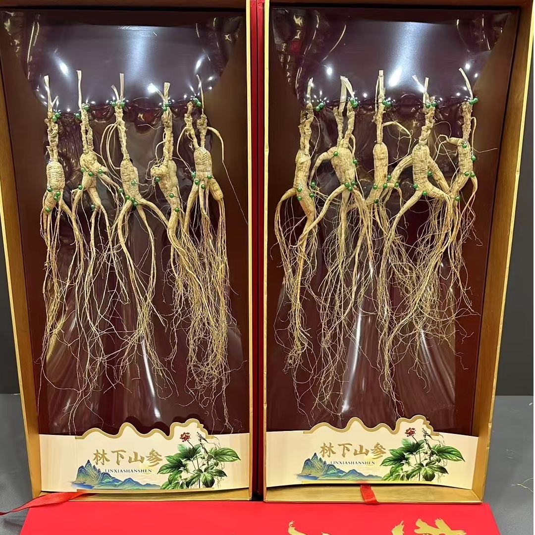 林下参礼盒红色礼盒参精美时尚大气送礼配礼袋