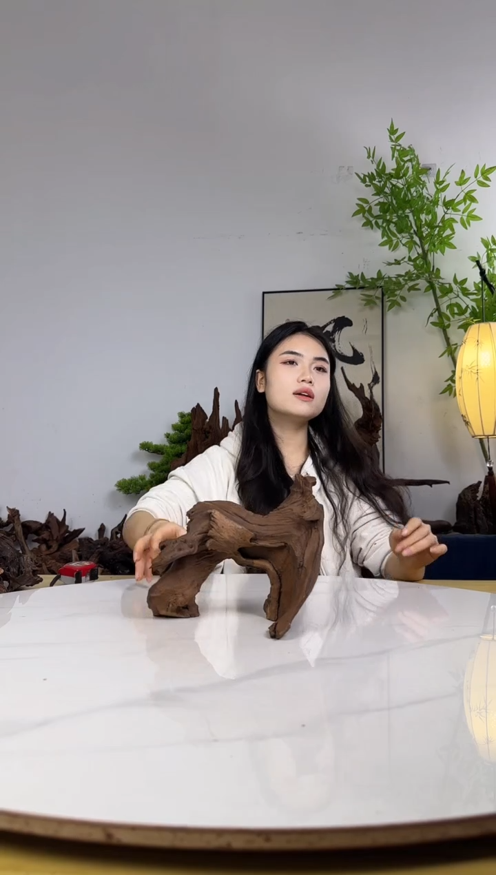 ?*楼拍沉木定向链接编号65