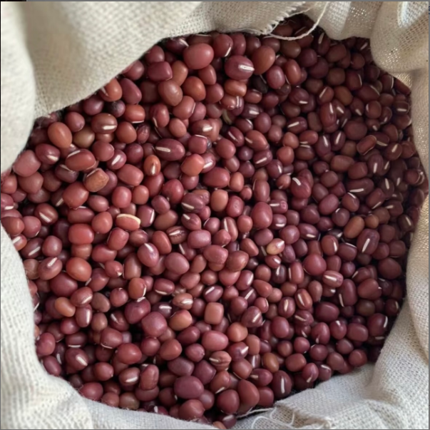 恩施高山 农家红豆 净含量500克