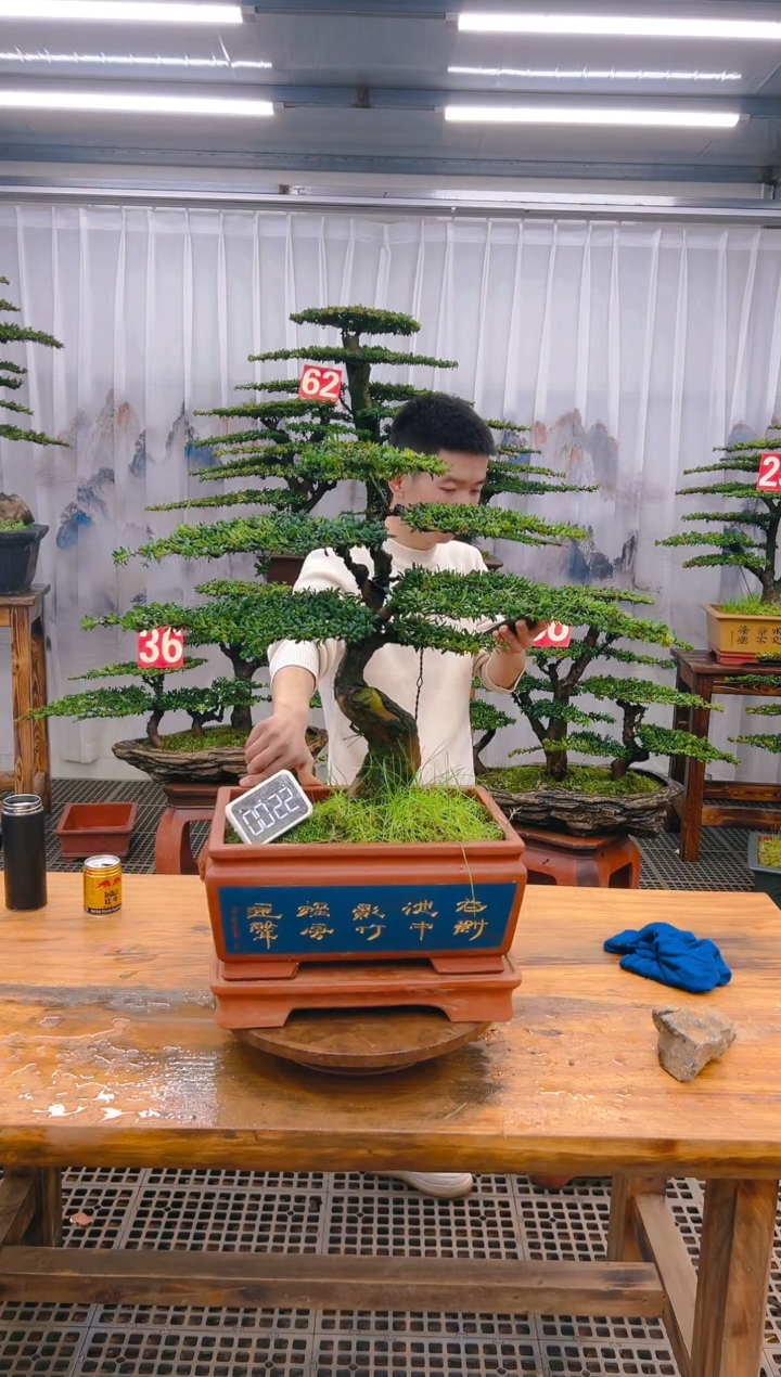 【闪购商品】紫砂精品盆景直播间一物一拍